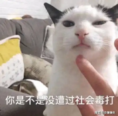 愣住表情包心里没点谱,这次我不假笑了