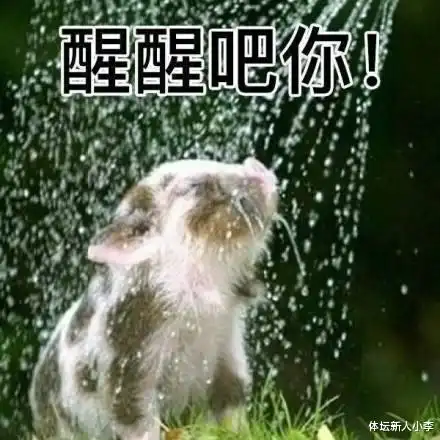 醒醒,火箭队真没钱下一个卡佩拉,快要被用废了