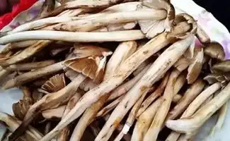 盘点中国特色食材之广东篇