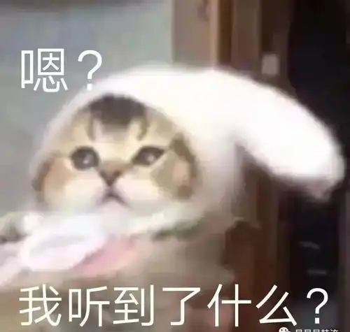 他的眼光让人堪忧
