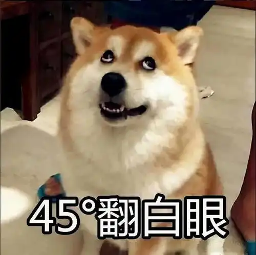 原来再愤怒也不能打狗是有这些原因的,又心疼又好笑