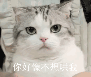 猫咪gif表情包合集醒醒,上班了