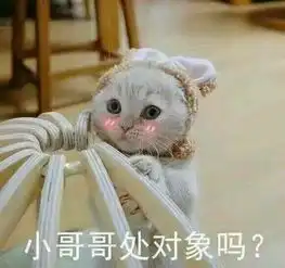 世界杯预测哪家强七哥宁桓宇当仁不让