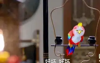 楚乔传鹦鹉表情包楚乔传苍梧鸟gif图片表情包腾牛下载