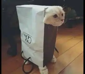 猫钻进袋子却被卡住了,就露出一个头,表情很委屈我怎么方了
