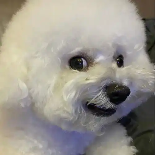 全网最强背影杀手背面看是棉花糖,正面看是表情包