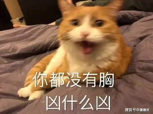 搞笑表情包图片哪里有男人,开饭了