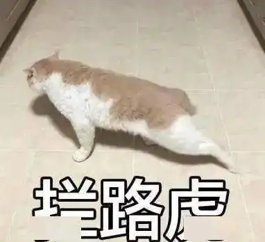 虽然我练琴少,但我妈妈打得多啊