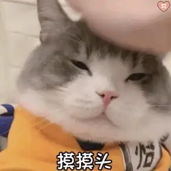 有没有可爱的摸摸头的表情包呢