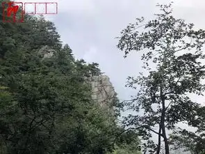 夏都庐山行,云深不知处