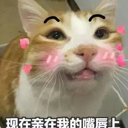 今日愿望想要一夜抱富丨第180期喵表情