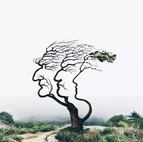 摄影师拍了一组魔幻照片,吸引了75万粉丝围观
