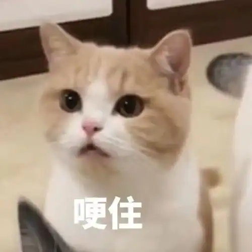 女友的家法运算法则
