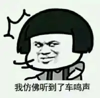 老司机开车了表情包
