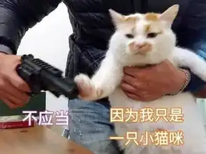 女子国庆8天要参加6场婚礼,份子钱一月工资都不够,这个国庆我不过了行吗