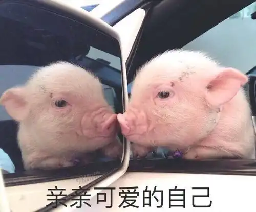 有没有极致沙雕的自拍文案