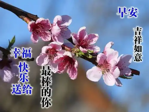 天冷降温最美早上好问候语和关心话,清晨最美早上好动画表情图片带字