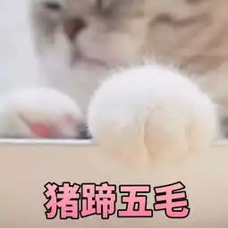 是哪位小朋友要的表情包表情包合集,安排上了