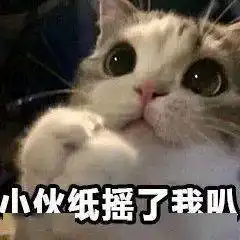 可爱的猫咪表情大全,请收藏备用