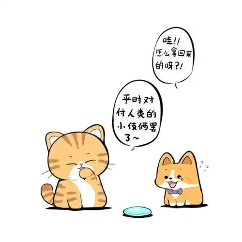橘猫到底是种什么生物