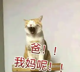 你们要的无水印喊妈喊爸喊儿砸的表情包都在这儿了