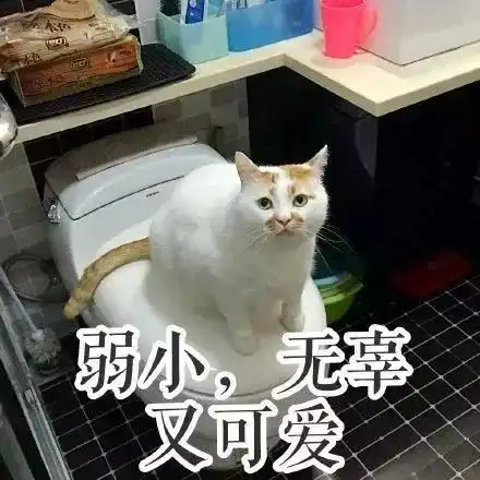 2017年度表情包大赏假笑boy边缘试探.南宁人你最爱的是