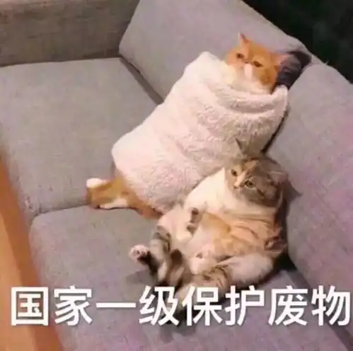 丑,真的都是自己作的