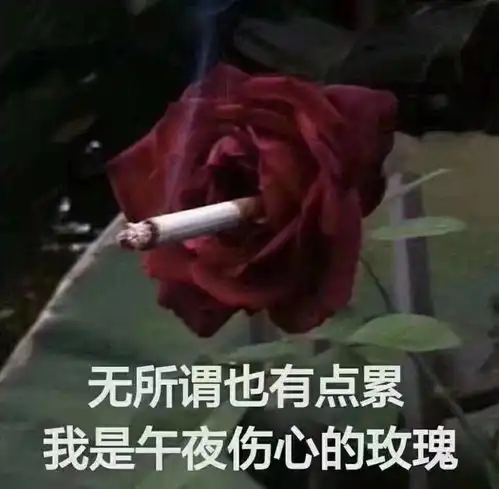 超级无敌宇宙大爆炸迷惑行为最r的后援会
