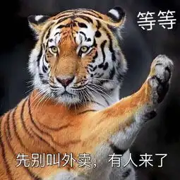 动物四大差生印度蛇俄罗斯熊澳洲袋鼠中国虎