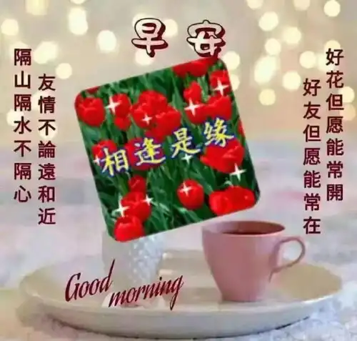 非常漂亮早上好表情动态图片大全早上好祝福语大家早安表情早上好问候语温馨