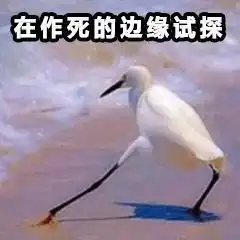 注册地变更完成,以后请叫她浙股多喜爱