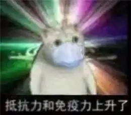 没被网课逼疯,却被这些表情包扒光戳中g点