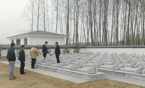 萧县民生福祉提升背后的民政力量