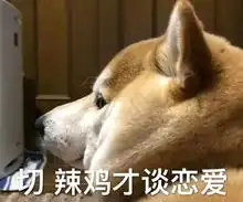 你凭什么本事单身