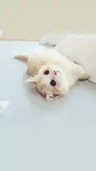 lhtldx的主页zcool