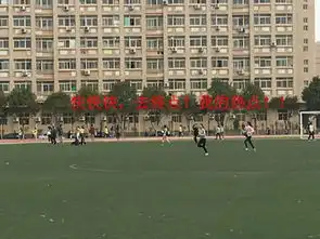 运动会独家爆料明星选手鬼畜表情包丨运动会特辑