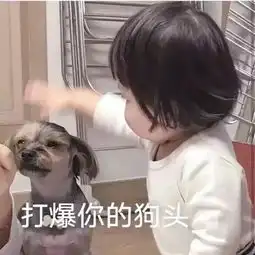 罗熙表情包你在干什么呀