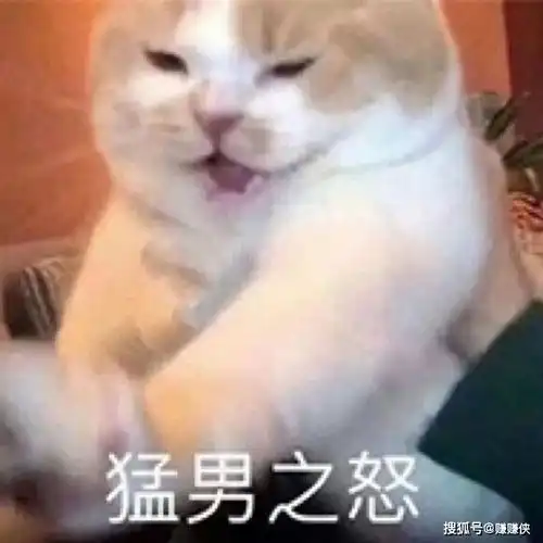 最新表情包图片道歉专用,我错了,对不起