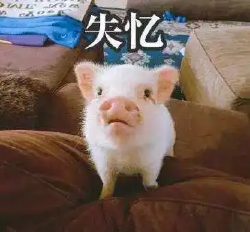 如何从细节上获得雅思口语考官的好感
