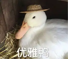 贫穷的你,十一如何才能拥有千人点赞的朋友圈