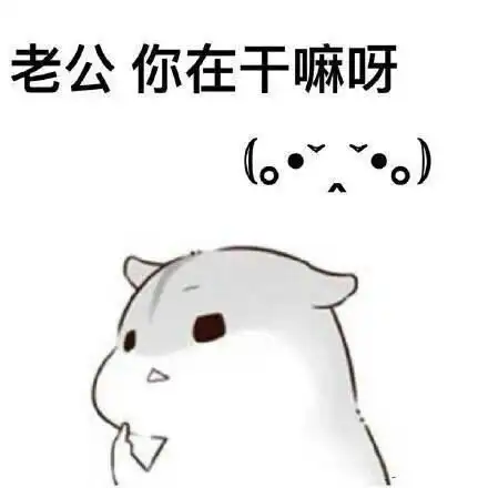 爆笑gif这样的女生寝室你喜欢吗
