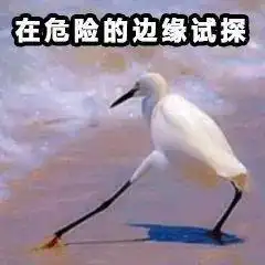 事发潮州,黄某培,负全部过错,后果很严重驾照驾驶证机动车潮州市无证驾驶交通事故网易订阅