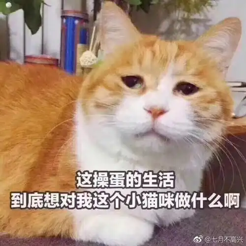 动车因故停运了是不是只有退票一条路了
