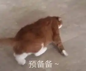 惊了这周末钦州又有大事情发生,先睹为快