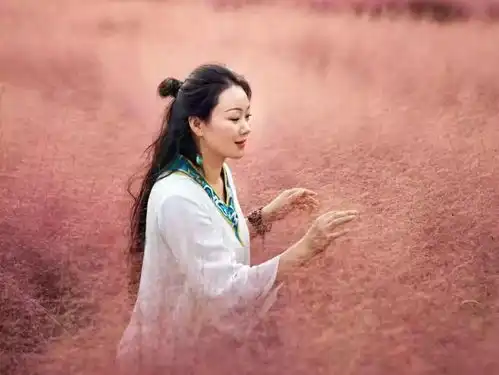 抖音同款乐清惊现浪漫花海,如同置身粉红云雾情侣都去打卡了