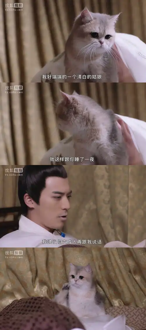 看过这部甜宠剧之后完全get到猫系女友的魅力