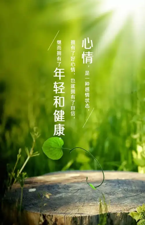 早上好正能量问候的话励志人生经典语