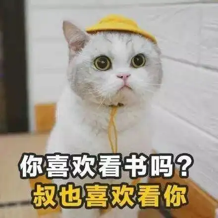 get到这些热词,你也能成为语言网红
