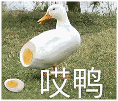 表情最近很火的沙雕表情包合辑