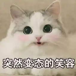 宠界苏大强演技battle你家喵主子可能是个戏精